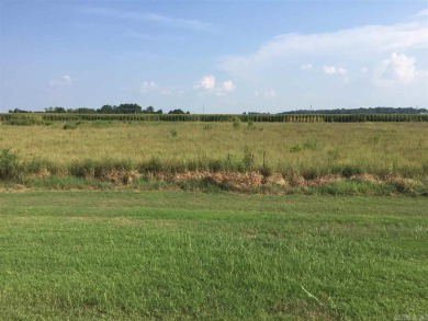 Lake Lot For Sale in England, Arkansas