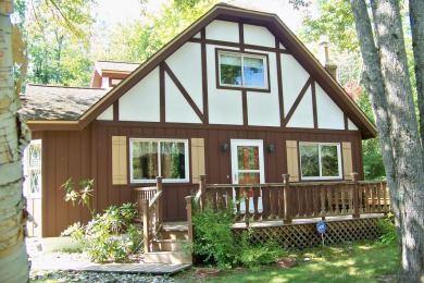 Lake Home For Sale in Elmira, Michigan