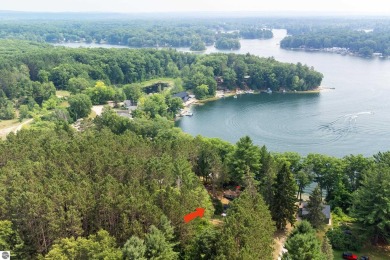 Lake Home For Sale in Irons, Michigan