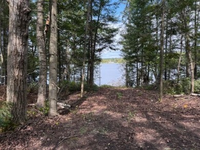 Lake Lot For Sale in Wolverine, Michigan
