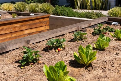 1602 San Remo Place 201 - photo 35