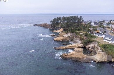 Exciting & constantly changing ocean views from this successful - photo 46