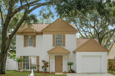 Lake Home For Sale in Valrico, Florida