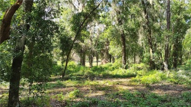 Bradley Lake Acreage For Sale in Floral City Florida