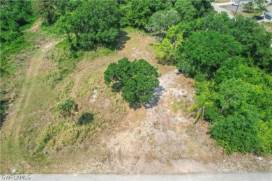 Lehigh Acres Area Lot For Sale in Lehigh Acres Florida