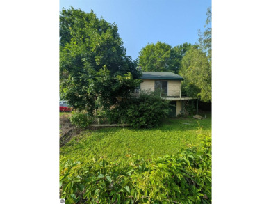 Lake Home For Sale in Weidman, Michigan