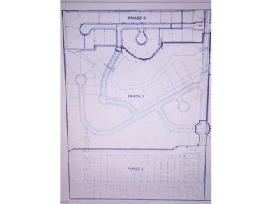 45 acres available in the Country Colonnade new development - photo 5