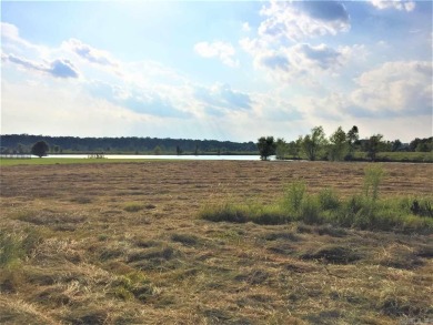 Lake Lot For Sale in England, Arkansas