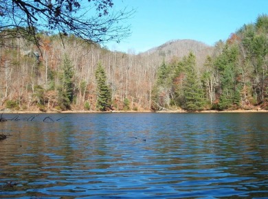 Lake Lot For Sale in Tuckasegee, North Carolina