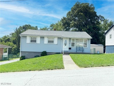 Ohio River Home For Sale in Mingo Junction Ohio