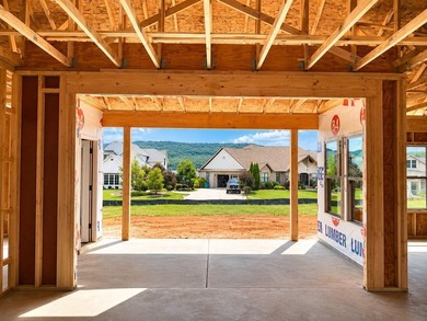 With views of Lake Nickajack and everything you could possibly - photo 5