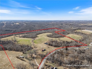 Discover 82.39 beautiful acres with highway frontage and - photo 2