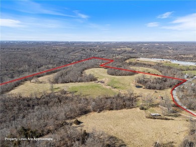 Discover 82.39 beautiful acres with highway frontage and - photo 4