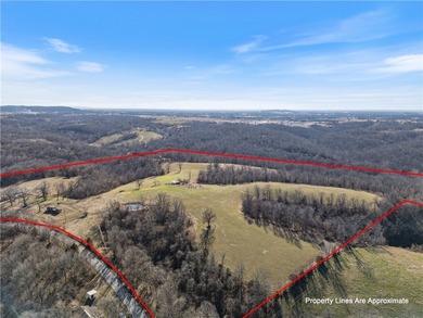 Discover 82.39 beautiful acres with highway frontage and - photo 10