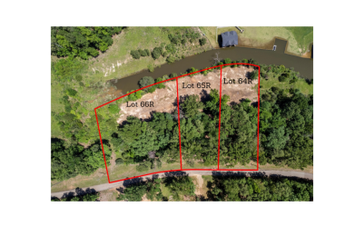 Lake Cypress Springs Lot For Sale in Scroggins Texas