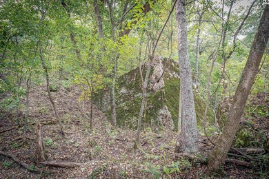Just outside of Independence, Kansas sits 286+/- acre timber and - photo 11