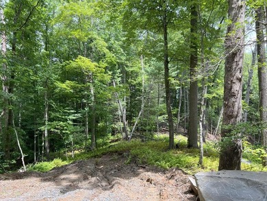 Unique 10.5 ACRES Nestled(lakefront) acres in the serene, wooded - photo 16