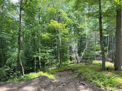 Unique 10.5 ACRES Nestled(lakefront) acres in the serene, wooded - photo 17