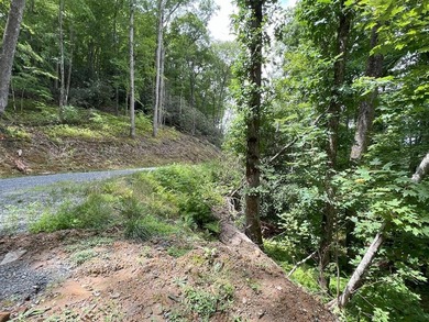 Unique 10.5 ACRES Nestled(lakefront) acres in the serene, wooded - photo 18