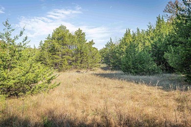 Just outside of Independence, Kansas sits 286+/- acre timber and - photo 19