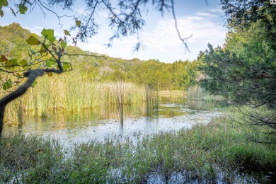 Just outside of Independence, Kansas sits 286+/- acre timber and - photo 21