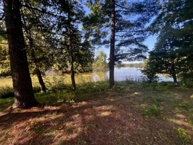 Lake Lot For Sale in Tower, Michigan