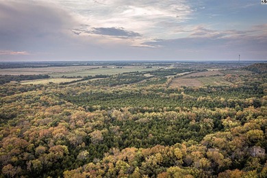 Just outside of Independence, Kansas sits 286+/- acre timber and - photo 22