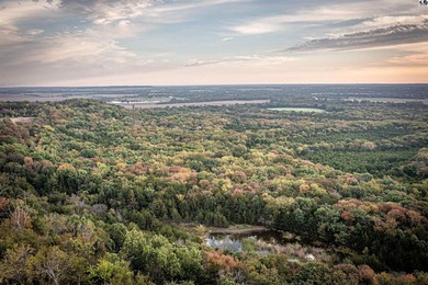 Just outside of Independence, Kansas sits 286+/- acre timber and - photo 23