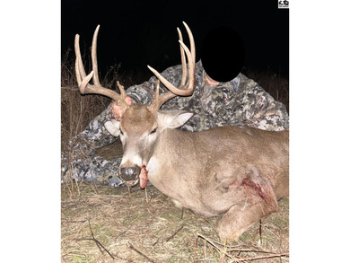 Just outside of Independence, Kansas sits 286+/- acre timber and - photo 36