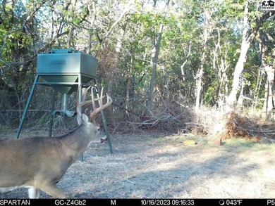 Just outside of Independence, Kansas sits 286+/- acre timber and - photo 39