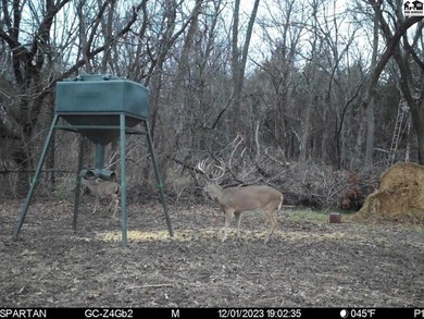 Just outside of Independence, Kansas sits 286+/- acre timber and - photo 40