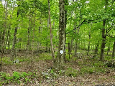 Pines Lake Lot For Sale in Tobyhanna Twp Pennsylvania