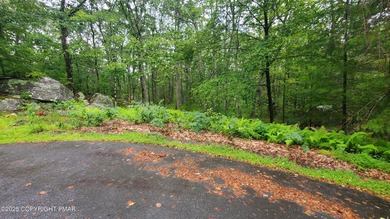 Hemlock Lake Lot Sale Pending in Blooming Grove Pennsylvania