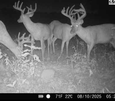 Just outside of Independence, Kansas sits 286+/- acre timber and - photo 42