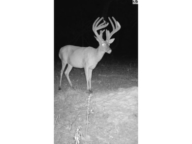Just outside of Independence, Kansas sits 286+/- acre timber and - photo 45