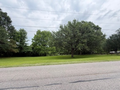 LOT WITH CURB APPEAL AND CONVENIENT LOCATION. 0.47 acre +/- LOT - photo 1