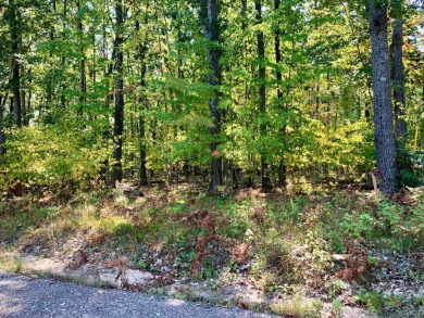 Lake Lot For Sale in Roscommon, Michigan