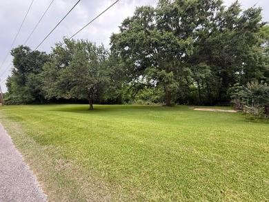 LOT WITH CURB APPEAL AND CONVENIENT LOCATION. 0.47 acre +/- LOT - photo 2