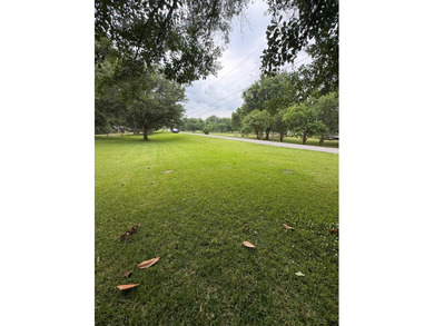 LOT WITH CURB APPEAL AND CONVENIENT LOCATION. 0.47 acre +/- LOT - photo 5