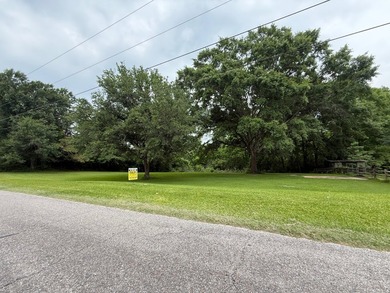 LOT WITH CURB APPEAL AND CONVENIENT LOCATION. 0.47 acre +/- LOT - photo 7