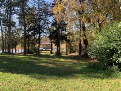Boathouse with "Weekend" Finishes on1.86 Acre WF Lot $275,000! - photo 2