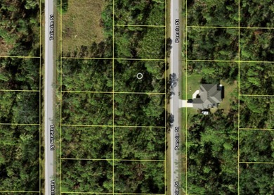 Gorgeous wooded lot without HOA, deed restrictions and not in a - photo 3