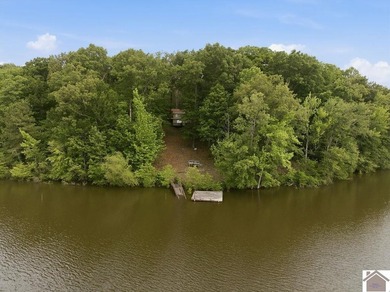 Tucked away on a quiet dead-end drive in the Crappie Hollow area - photo 10