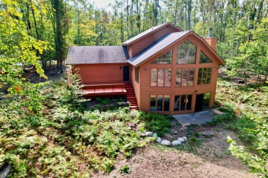 Lake Home For Sale in Gaylord, Michigan