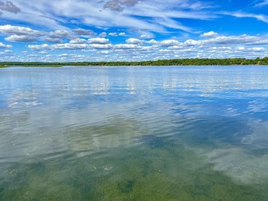 Experience luxury lake living at this incredible 4 bedroom, 4 - photo 4