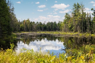 Rare opportunity to own a 440-acre private retreat just minutes - photo 4