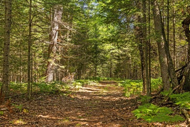 Rare opportunity to own a 440-acre private retreat just minutes - photo 6