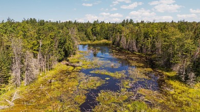 Rare opportunity to own a 440-acre private retreat just minutes - photo 7