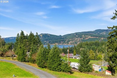 FOSTER LAKE VIEW opportunity! 50x70 RV Sized shop with 3 - 14x14 - photo 29