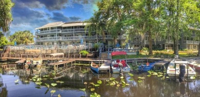 Withlacoochee River - Marion County Condo Sale Pending in Dunnellon Florida